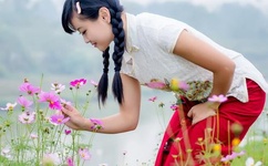 糖心破解版下载